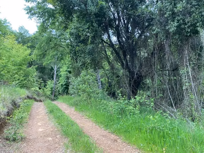 Se Vende Parcela de 5000m2 con Rol