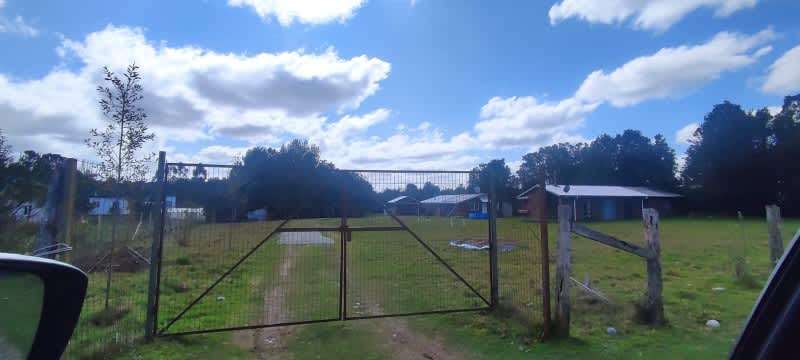 Excelente Oportunidad Parcela 18.000 m2 Ilque - Imagen 3