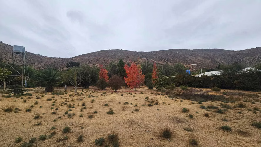 Venta Parcela en condominio El pangal (110243)