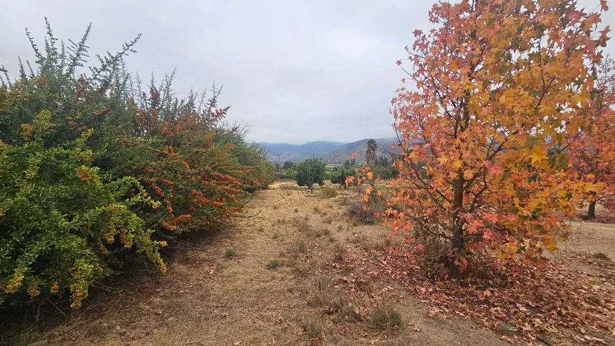 Venta Parcela en condominio El pangal (110243)