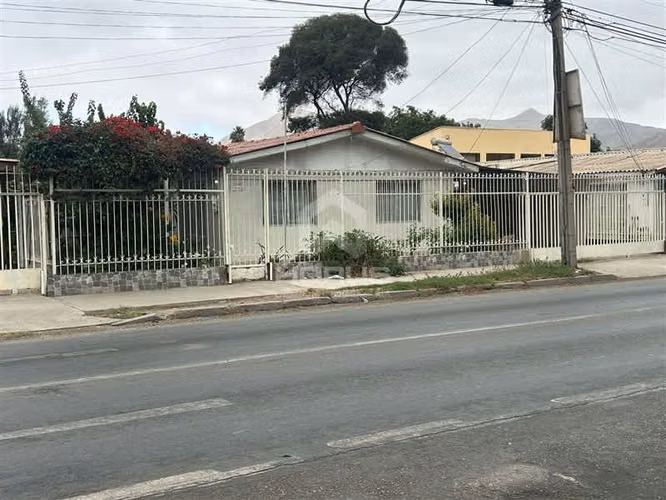 CASA Copayapu con Vicuña