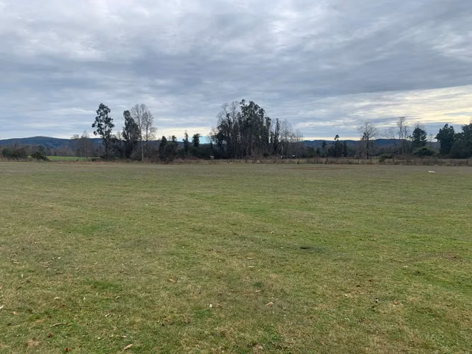 3 PARCELAS DE 5000M2 C/U, ACCESO PRIVADO, 4TA FAJA GORBEA