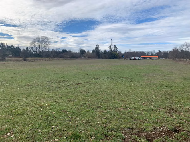 3 PARCELAS DE 5000M2 C/U, ACCESO PRIVADO, 4TA FAJA GORBEA