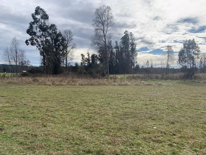 3 PARCELAS DE 5000M2 C/U, ACCESO PRIVADO, 4TA FAJA GORBEA
