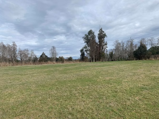 3 PARCELAS DE 5000M2 C/U, ACCESO PRIVADO, 4TA FAJA GORBEA
