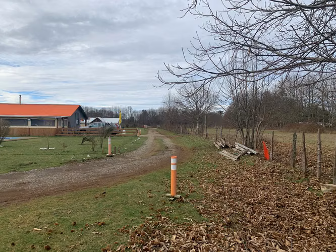 3 PARCELAS DE 5000M2 C/U, ACCESO PRIVADO, 4TA FAJA GORBEA