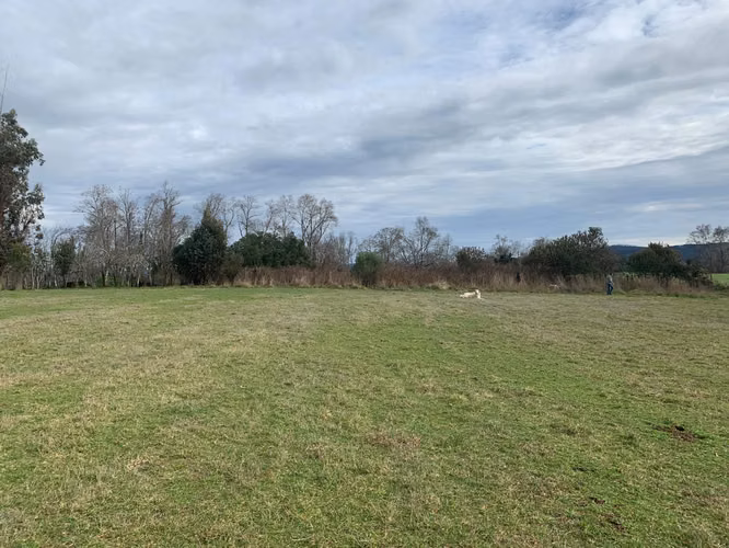 3 PARCELAS DE 5000M2 C/U, ACCESO PRIVADO, 4TA FAJA GORBEA