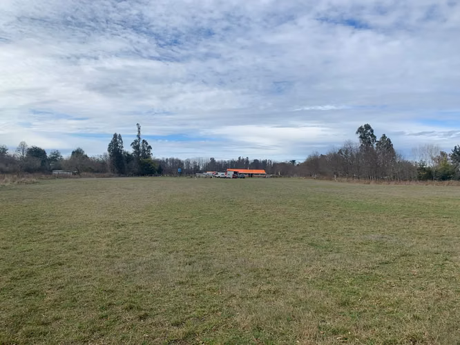 3 PARCELAS DE 5000M2 C/U, ACCESO PRIVADO, 4TA FAJA GORBEA