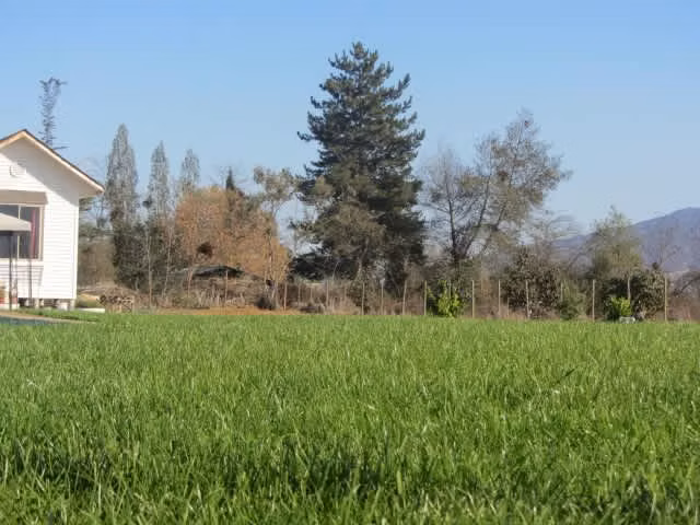 PARCELA AMPLIO TERRENO EN OLMUE