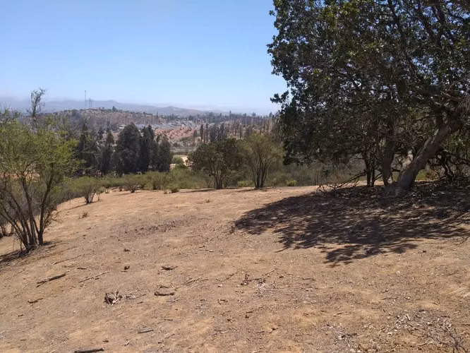 TERRENO SECTOR  EL CARMEN PEÑABLANCA