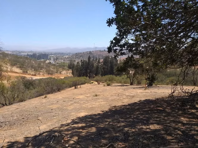 TERRENO SECTOR  EL CARMEN PEÑABLANCA