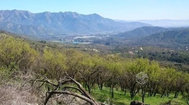 PARCELA RESERVA ECOLOGICA OASIS DE LA CAMPANA - Imagen 4
