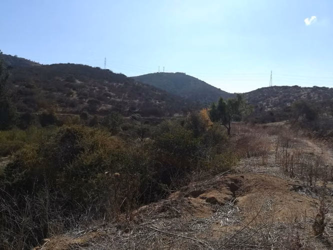 PARCELA CAMINO LOS LAURELES, LIMACHE