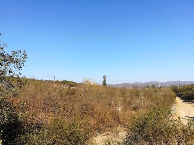 PARCELA CAMINO LOS LAURELES, LIMACHE