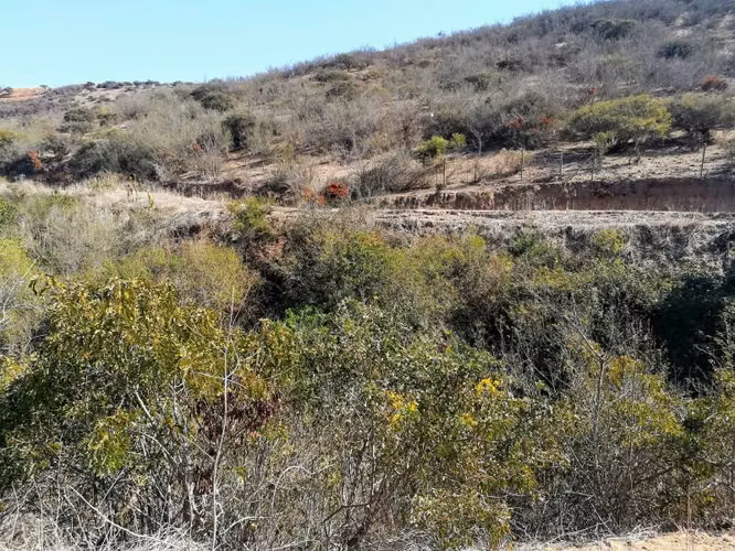 PARCELA CAMINO LOS LAURELES, LIMACHE