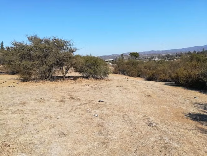 PARCELA CAMINO LOS LAURELES, LIMACHE