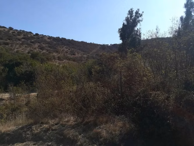 PARCELA CAMINO LOS LAURELES, LIMACHE