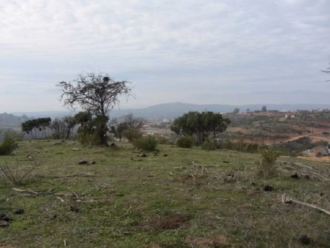 PARCELA EXCELENTE VISTA  PEÑABLANCA CAJÓN DEL LEBU