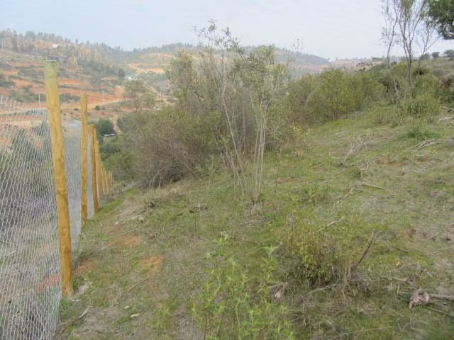PARCELA EXCELENTE VISTA  PEÑABLANCA CAJÓN DEL LEBU