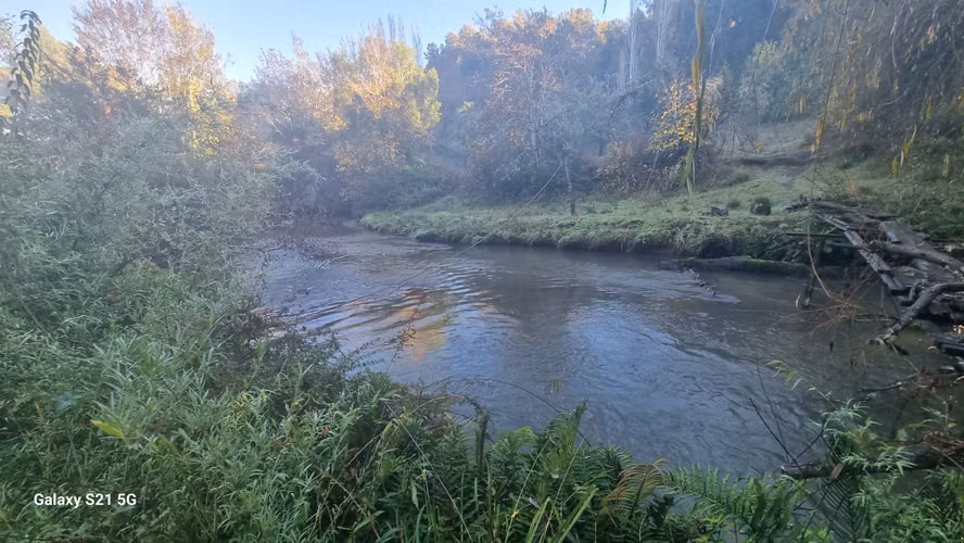 Vende Hermoso terreno con Estero Pedregoso, Radal - Freire
