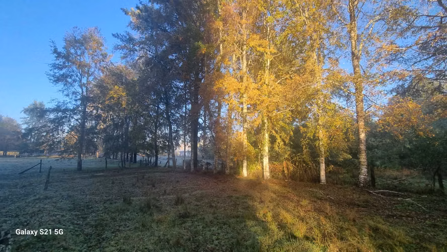 Vende Hermoso terreno con Estero Pedregoso, Radal - Freire