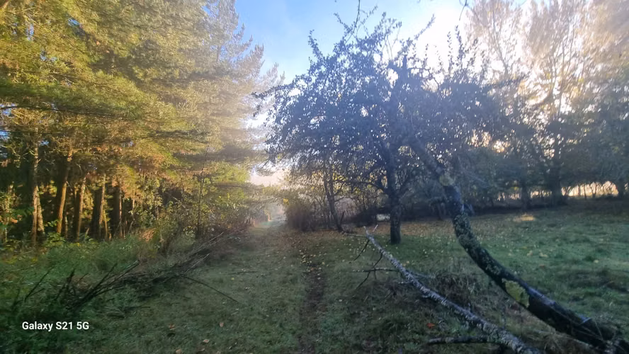 Vende Hermoso terreno con Estero Pedregoso, Radal - Freire