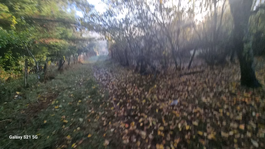 Vende Hermoso terreno con Estero Pedregoso, Radal - Freire