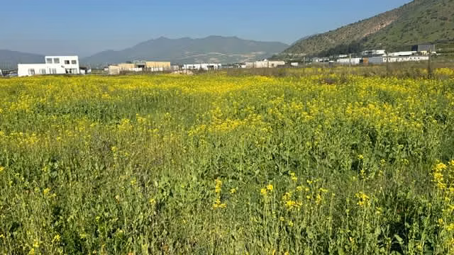 Venta de Parcela – Las Águilas, Padre Hurtado