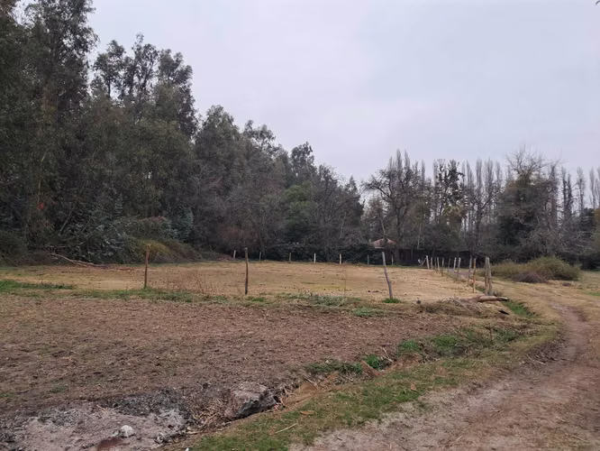 Sector San Damian (107505)