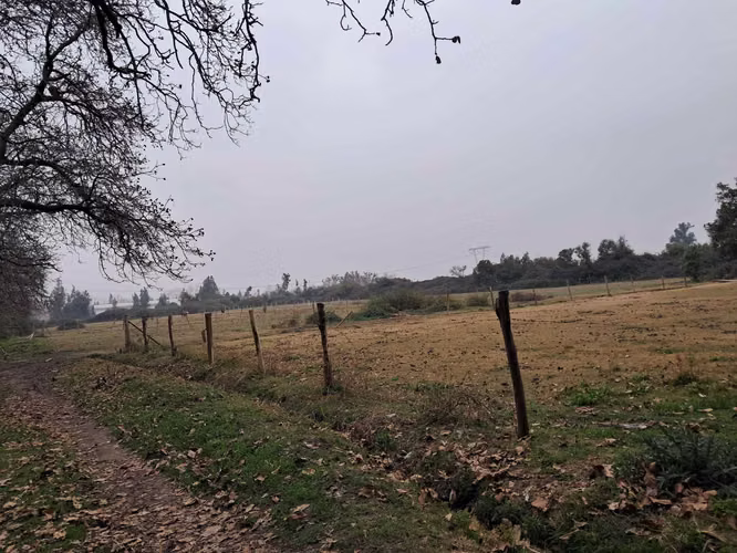 Sector San Damian (107505)