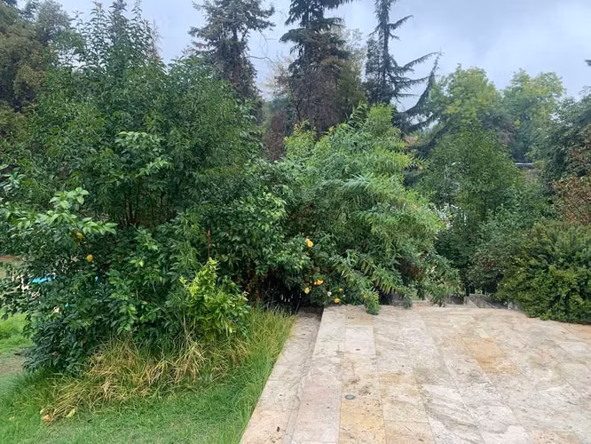Excelente Terreno para proyecto inmobiliario (111183)