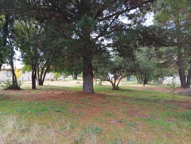 Vendo parcela de 1,08 hectárea, con rol propio plana