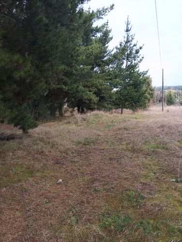 Vendo parcela de 1,08 hectárea, con rol propio plana