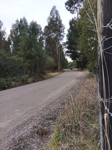 Vendo parcela de 1,08 hectárea, con rol propio plana