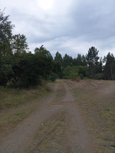Vendo parcela de 1,08 hectárea, con rol propio plana