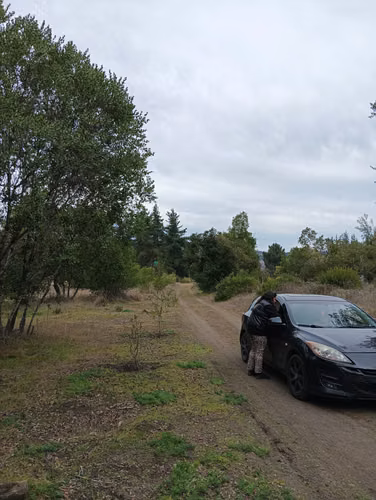 Vendo parcela de 1,08 hectárea, con rol propio plana