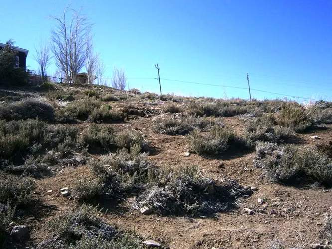 Terreno Potencial Vivienda, Farellones (112124)