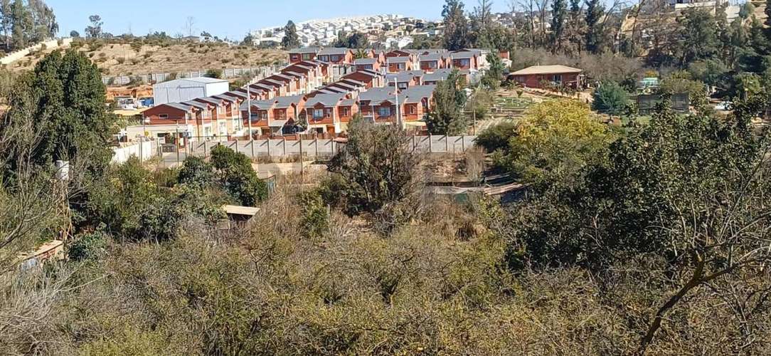 Venta Terreno Los Aromos, Peñablanca - Imagen 3
