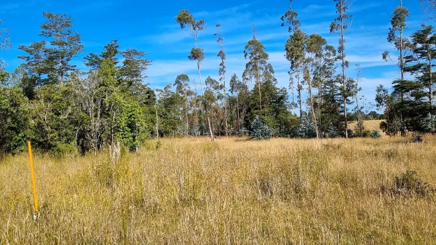 Campo de 6.5 Hectáreas sector Olmopulli