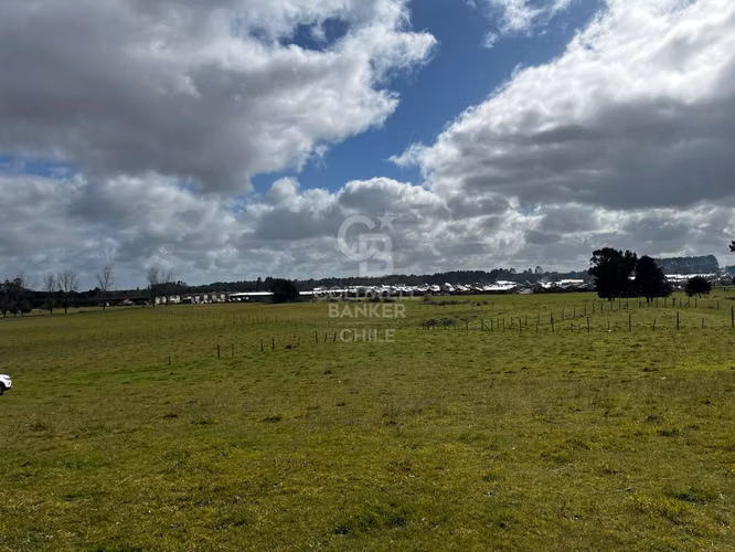 Parcela Puerto Octay Circuito Lago Llanquihue