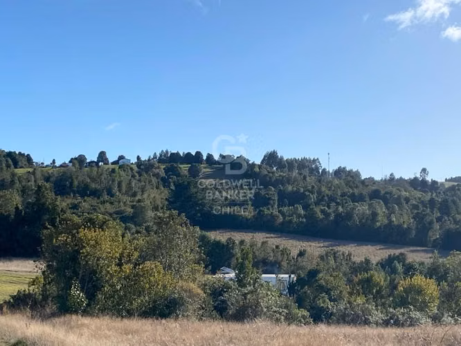 Parcelas Conexión Privada a Puerto Varas y Los Muermos