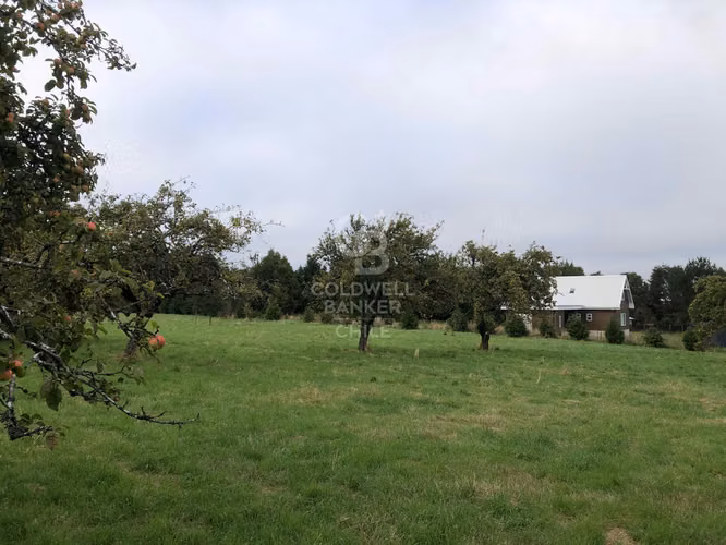 3,9 ha con acceso directo a Ruta Alerce–Puerto Varas