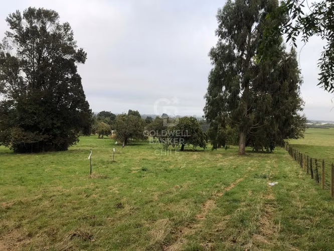 3,9 ha con acceso directo a Ruta Alerce–Puerto Varas