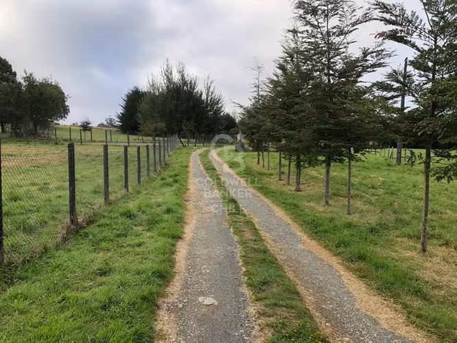 3,9 ha con acceso directo a Ruta Alerce–Puerto Varas
