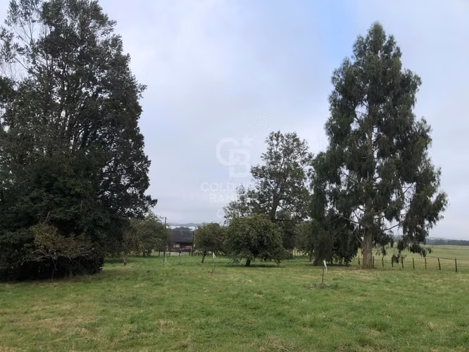 3,9 ha con acceso directo a Ruta Alerce–Puerto Varas