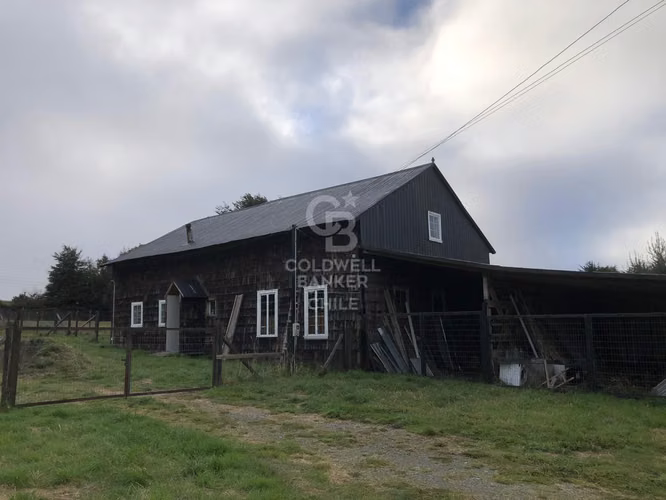 3,9 ha con acceso directo a Ruta Alerce–Puerto Varas