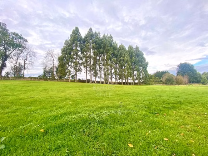 3,9 ha con acceso directo a Ruta Alerce–Puerto Varas