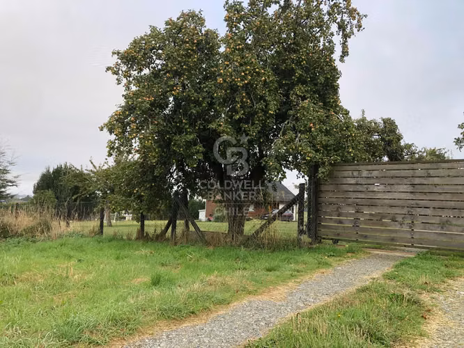 3,9 ha con acceso directo a Ruta Alerce–Puerto Varas