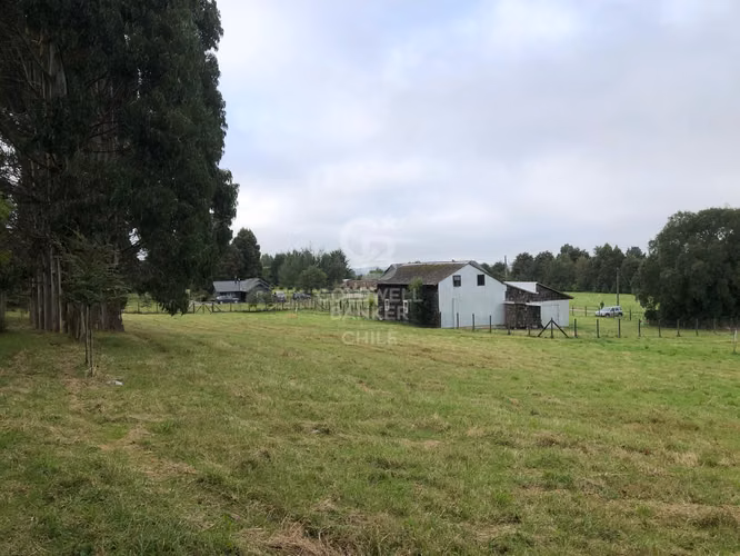 3,9 ha con acceso directo a Ruta Alerce–Puerto Varas