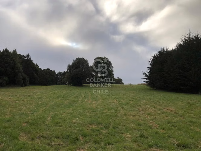3,9 ha con acceso directo a Ruta Alerce–Puerto Varas